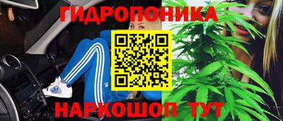 эйфоретик Славгород