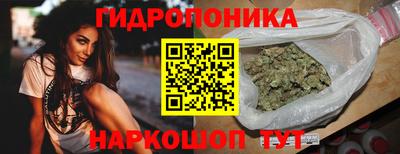 гидра Славянск-на-Кубани
