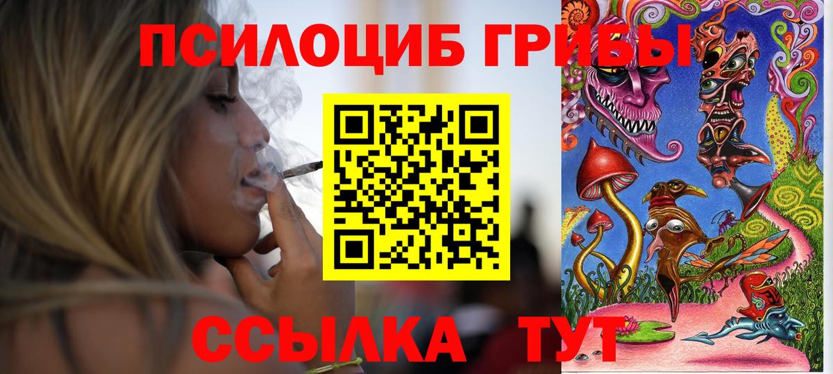 Галлюциногенные грибы Psilocybine cubensis  Вход с VPN  Асбест  Галлюциногенные грибы MAGIC MUSHROOMS 