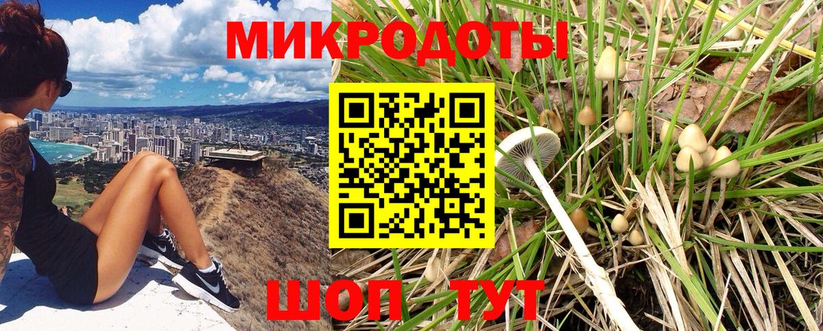 Псилоцибиновые грибы прущие грибы Асбест